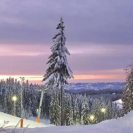 Brko 8 - Lazy Skiing Retreat Apartmán Jahorina